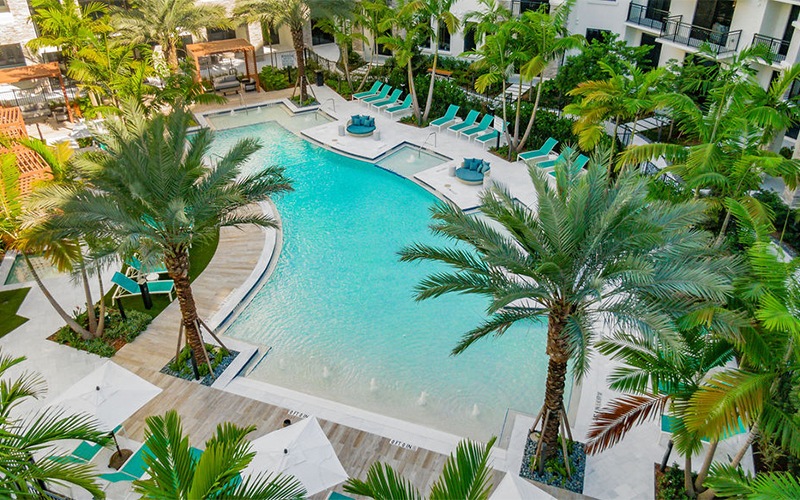 a pool surrounded by palm trees