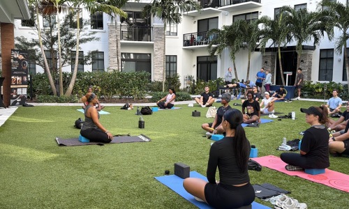 a group of people doing yoga